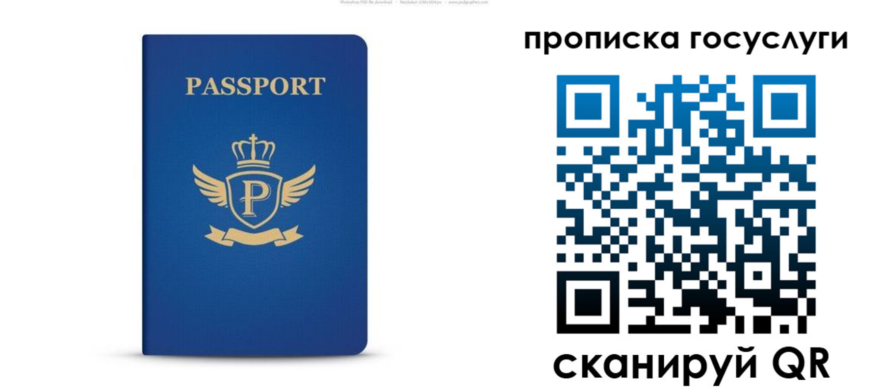 прописка для школы в Новоалтайске